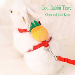 Adjustable Rabbit Harness And Leash Bunny Leash And Harness Set For Walking