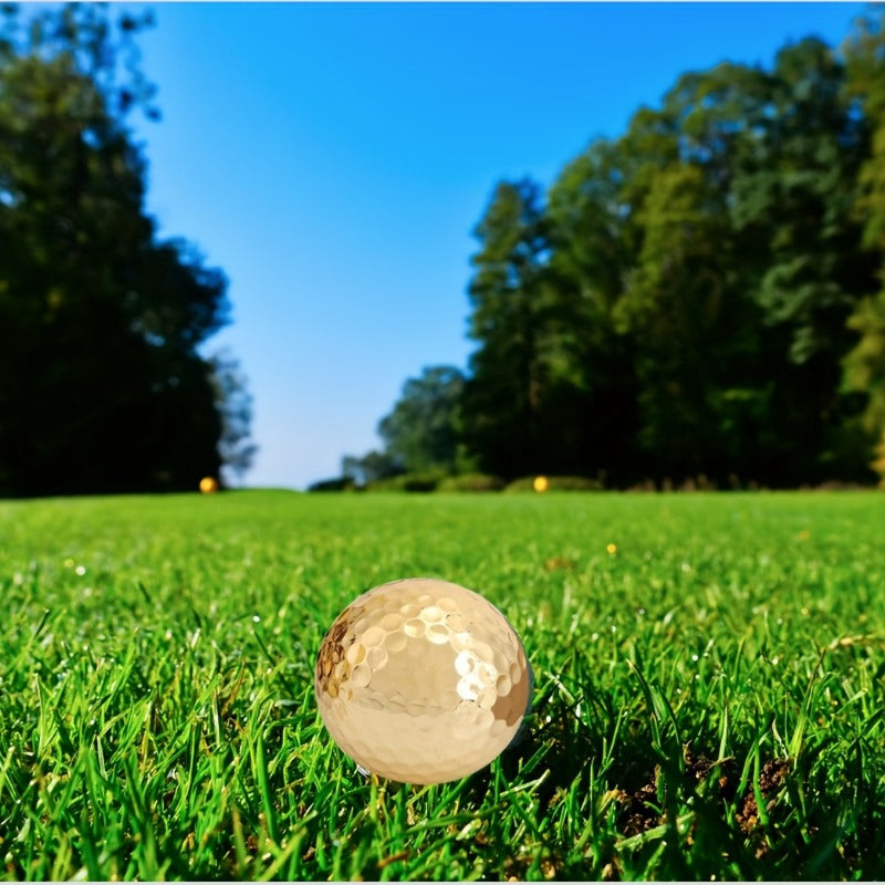 Portable Double Layer Plated Ball Accessory for Improved Golf Game
