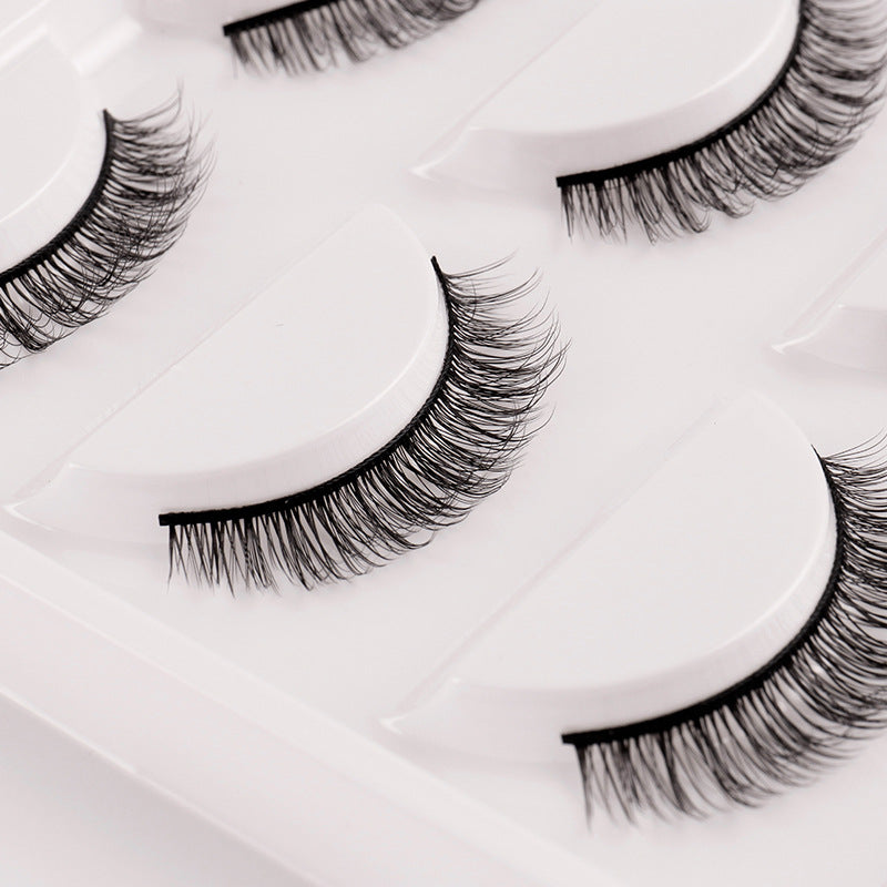 5 Pairs Natural Look False Eyelashes Thick and Fluffy Reusable Lashes