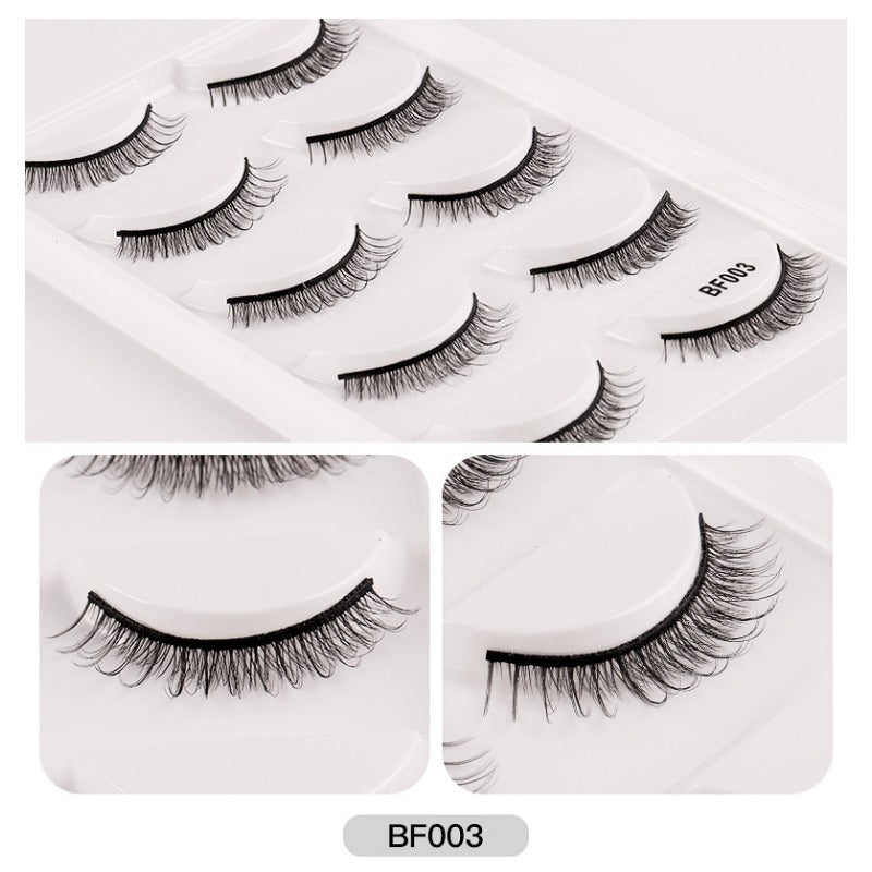5 Pairs Natural Look False Eyelashes Thick and Fluffy Reusable Lashes