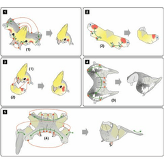 Cockatoo 3D Paper Model Ornament - Fun Building Game & Gift