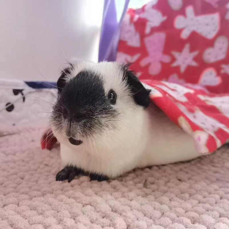 Cozy Hamster Bed Mat for All Seasons