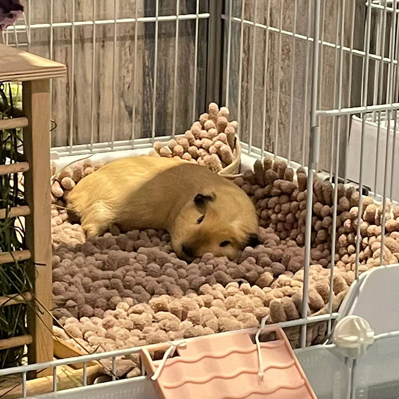 Cozy Hamster Bed Mat for All Seasons