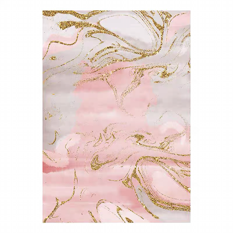 Nordic Style Pink Sofa Coffee Table Mat Abstract Large Area Non-slip Rug 80x160