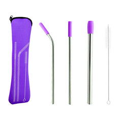 5pcs Stainless Steel Reusable Straws Set with Silicone Tips, Bent and Straight