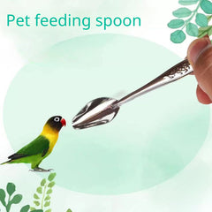 3pcs Bird Parrot Feeders Set Stainless Steel Spoons