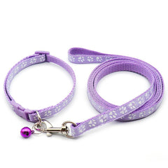 Paw Pattern Pet Collar & Leash Set for Outdoor