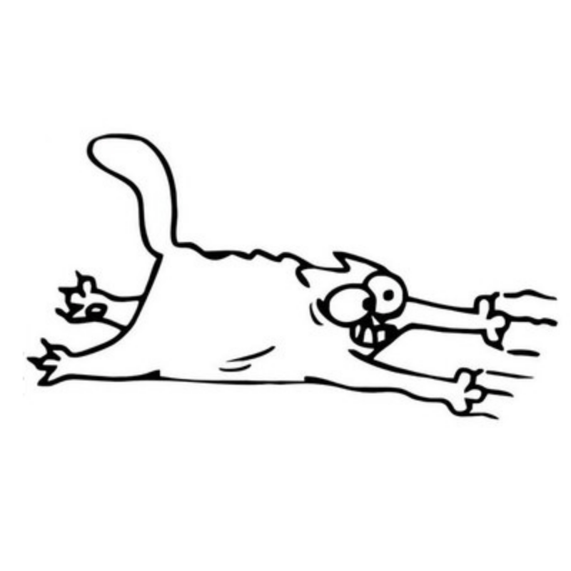 Car Sticker Cat Scratch Reflective Sticker