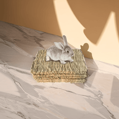 3pcs Rabbit Grass Mats Natural Straw Woven Bed for Small Animal Cages