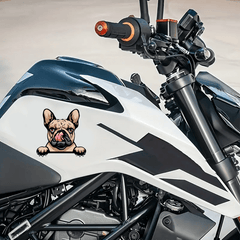 French Bulldog Vinyl Decal for Cars and Water Bottles