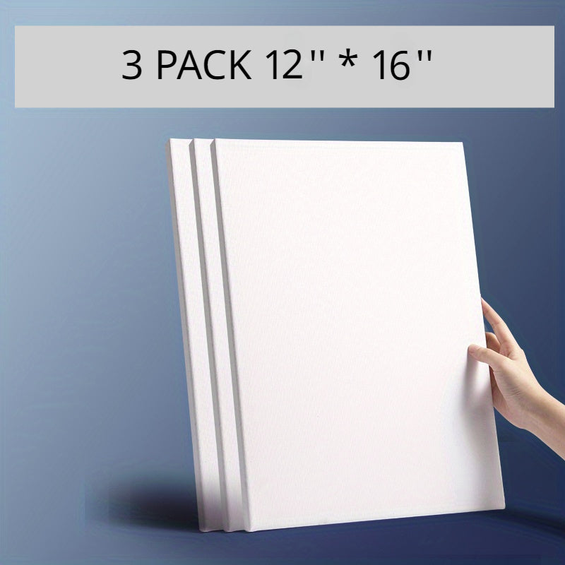 3 Packs Stretched Canvas Assortment for Acrylic Painting