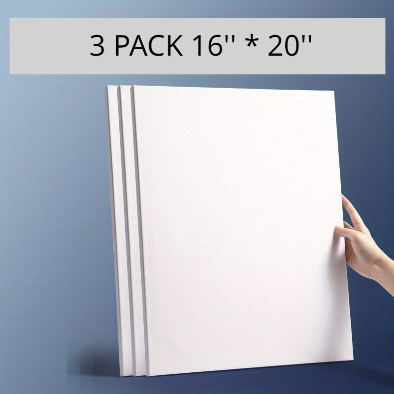 3 Packs Stretched Canvas Assortment for Acrylic Painting
