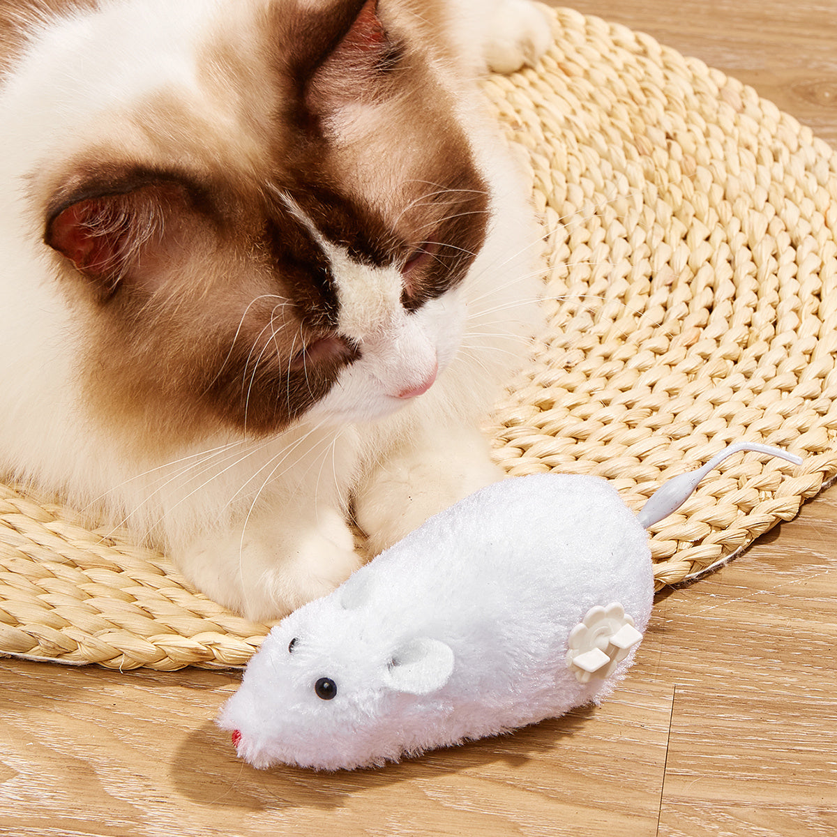Cat Plush Mouse Interactive Toy Exerciser For Indoor Kitten