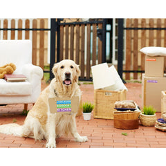250 Home Moving Labels 1 Bedroom 5 Rolls Moving Supplies Wardrobe Boxes