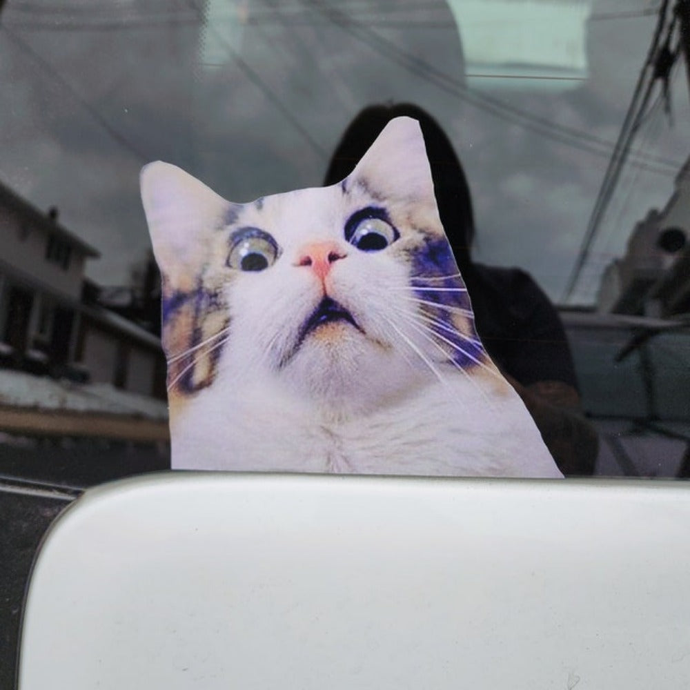 Scaredy Cat Sticker Cat Gift Kitten Funny Decal