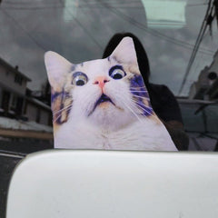 Scaredy Cat Sticker Cat Gift Kitten Funny Decal