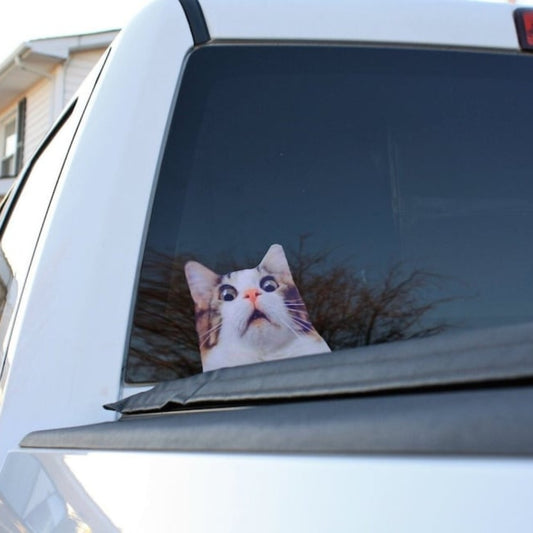 Scaredy Cat Sticker Cat Gift Kitten Funny Decal