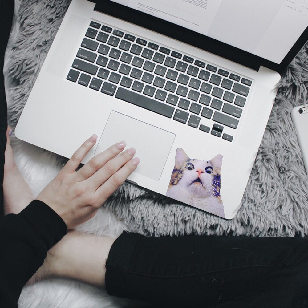 Scaredy Cat Sticker Cat Gift Kitten Funny Decal