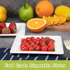50Pcs 15 Square Biodegradable Plates Heavy Duty Nature By Sugar Cane Fibers