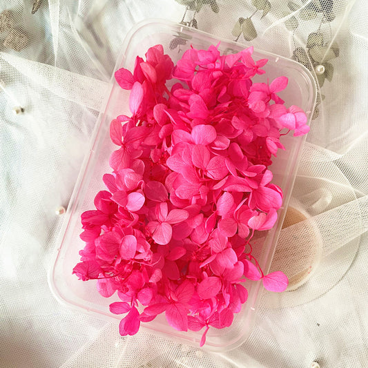 Dried Flowers Kit for Crafts and Decorations