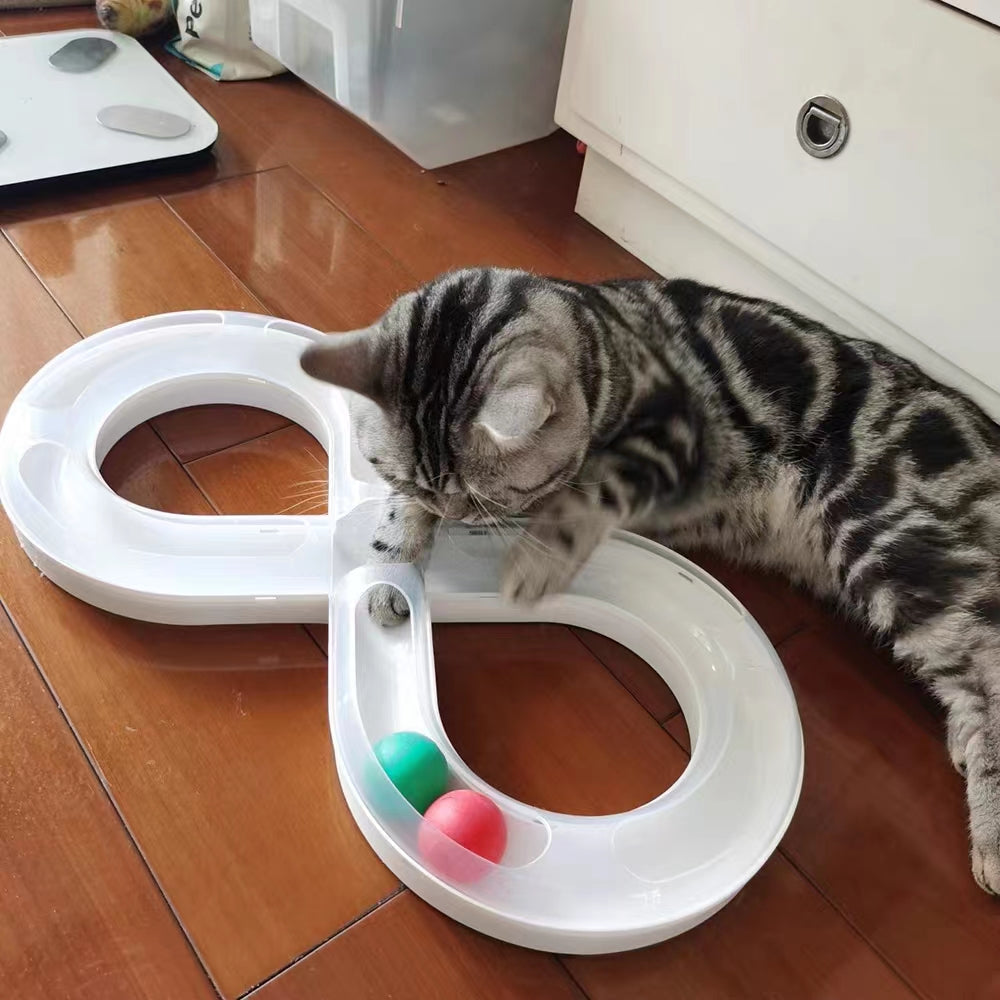 Interactive Cat Turntable Track Plastic Cat Toy Plate For Indoor Cats Kittens