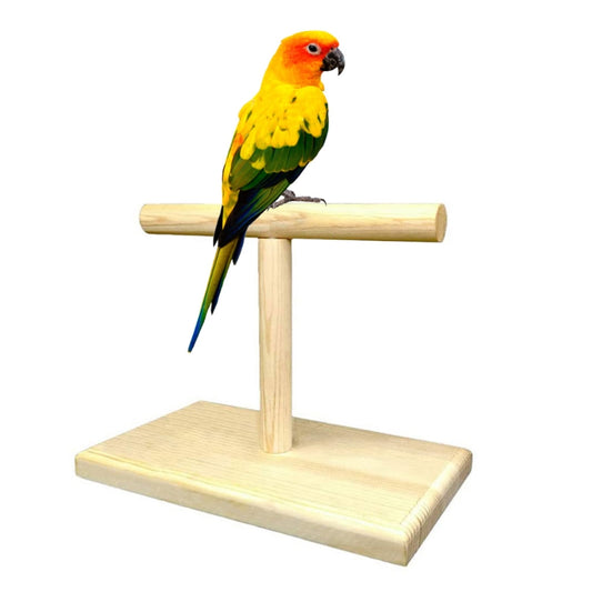 Parrot Desktop Stand Wood Bird Training Standing Stick