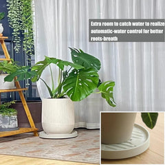 Plant Caddy Hidden Wheels Movable Plant Stand Pot Saucer
