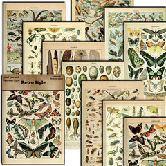 10pcs Large Size Retro Insect Journal Paper for DIY Gift