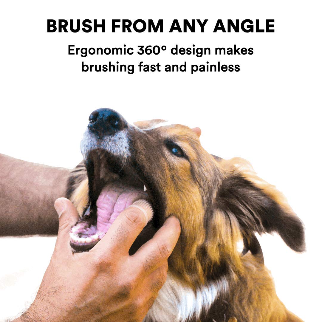 360 Dog Toothbrush Kit for Small Pets Dental Care