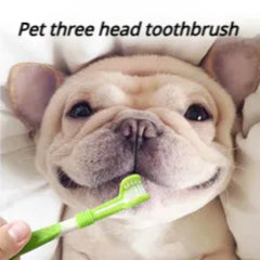 3-Sided Soft Bristle Pet Toothbrush for Effective Teeth Cleaning
