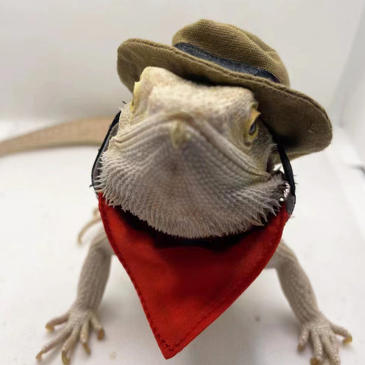 Pet Hat & Saliva Towel Set for Lizard Hamster
