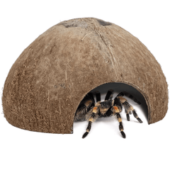 2pcs Natural Coconut Shell Small Pet Shelters