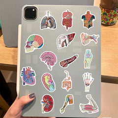 50pcs Anatomy & Physiology Stickers for DIY Skateboard Guitar Luggage