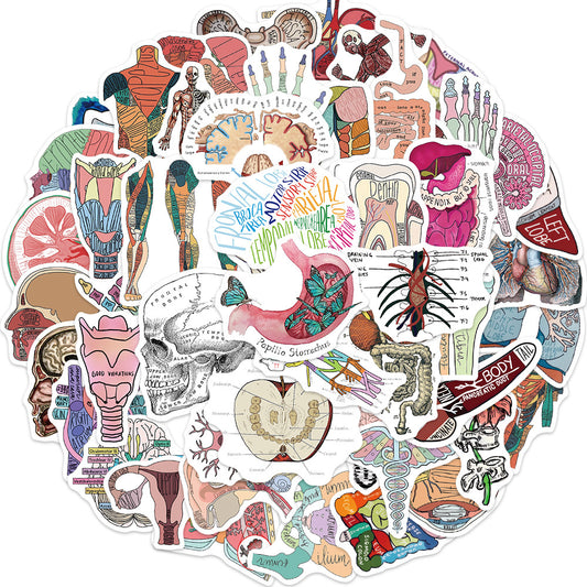 50pcs Anatomy & Physiology Stickers for DIY Skateboard Guitar Luggage