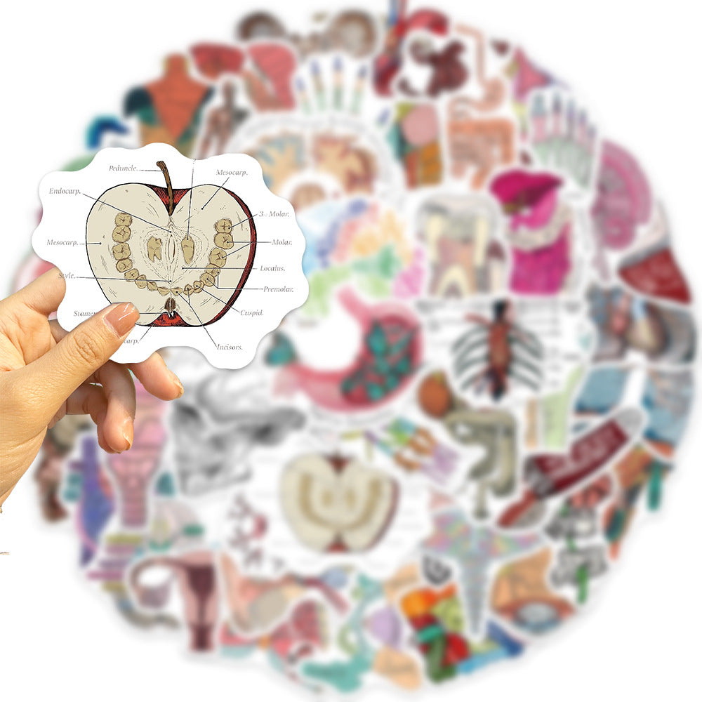 50pcs Anatomy & Physiology Stickers for DIY Skateboard Guitar Luggage
