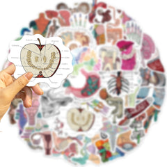 50pcs Anatomy & Physiology Stickers for DIY Skateboard Guitar Luggage