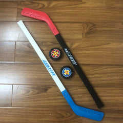2pcs Kids Ice Hockey Stick Ball Set Toy Kindergarten Sports Teaching