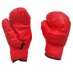 Non Pro Boxing Gloves for Combat & Fitness