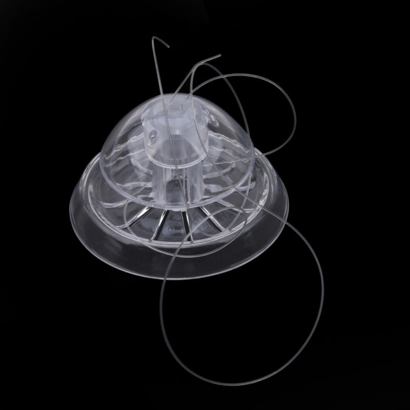 Transparent Snail Trap Aquarium Fish Tank Plants Planarian Leech Catch