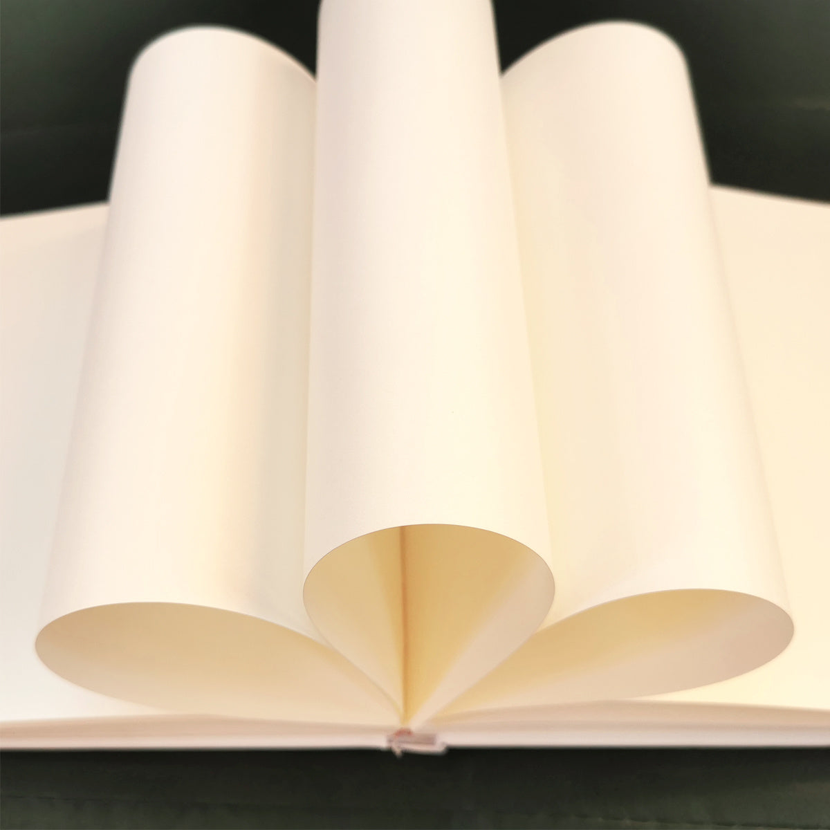 Guest Book 24 X 18 Hardcover Book Foil Stamping Letter