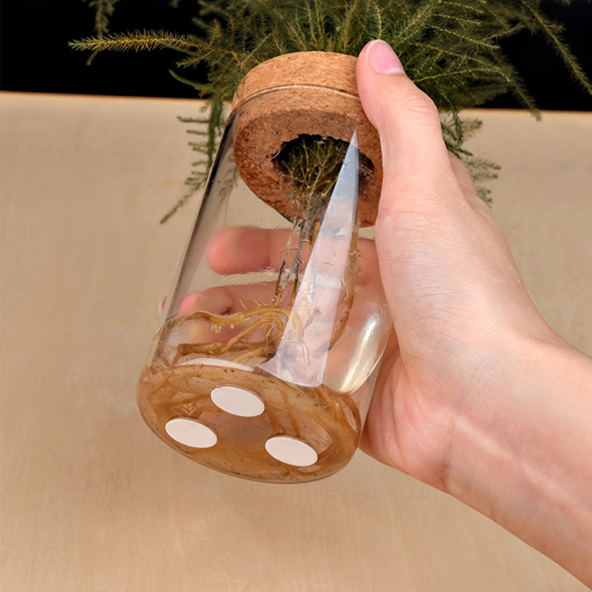 70pcs 20mm Transparent Double-Sided Adhesive Pads