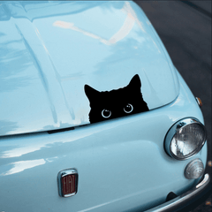 Poor Cat Stealing With Watch Vinyl Car Sticker Cover