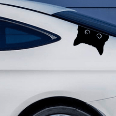 Poor Cat Stealing With Watch Vinyl Car Sticker Cover