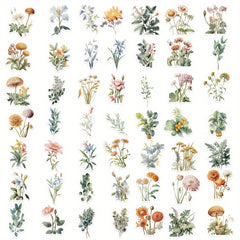 50pcs Cartoon Plant Stickers for Stationery Books Laptops Water Cup