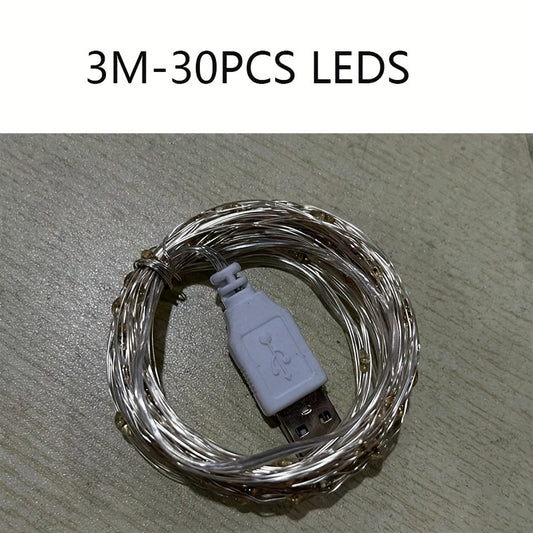 10m LED Light String Colorful Warm Light USB Plug Indoor/Outdoor Decoration
