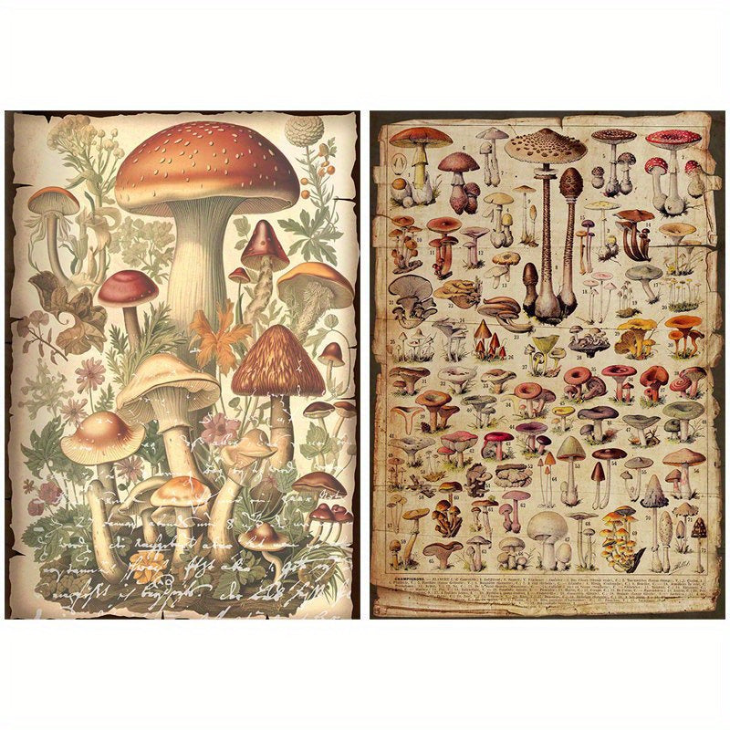 10pcs Large Size Mushroom Illustration Paper Retro Journal Decoration