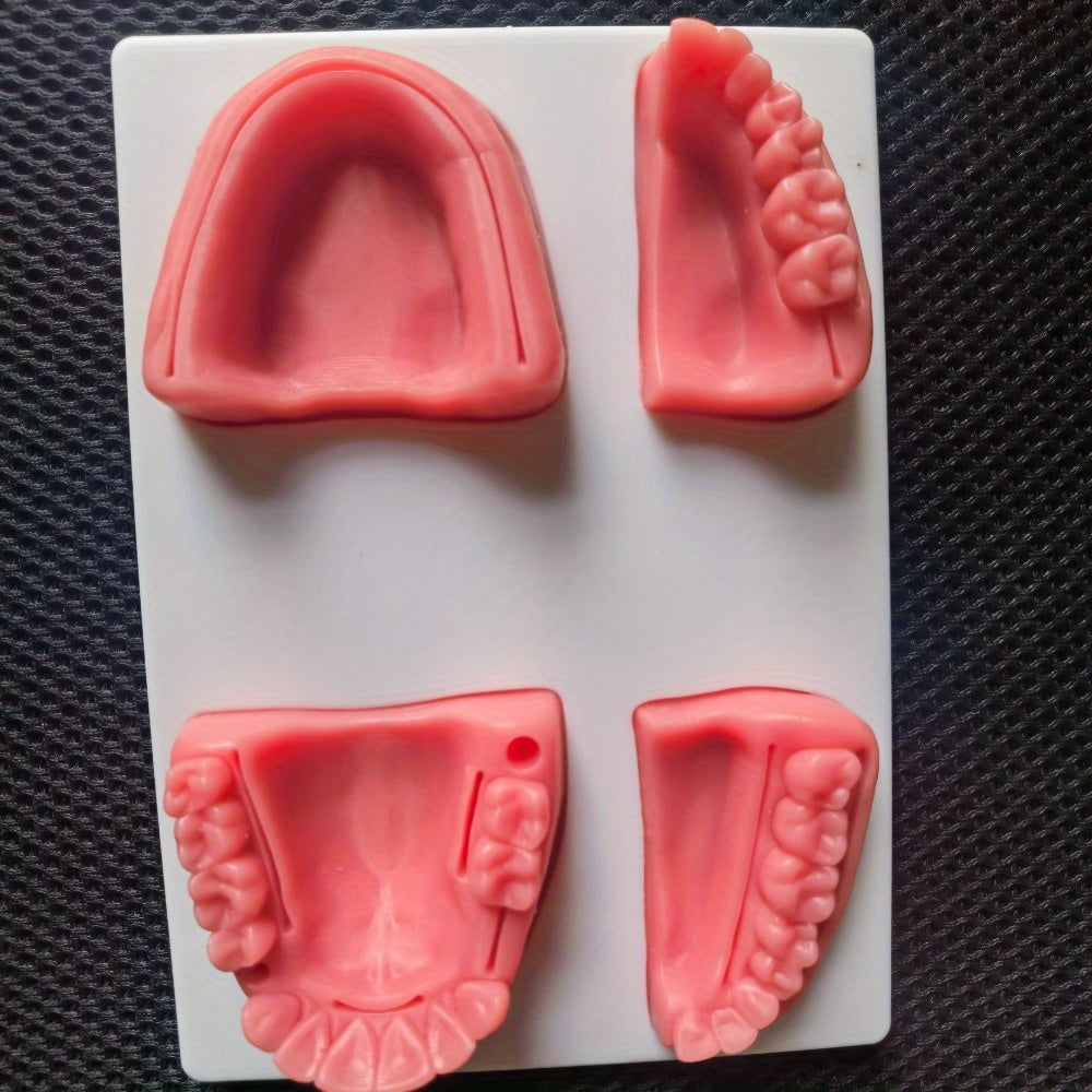 Dental Suture Practice Model With Base Teeth Module