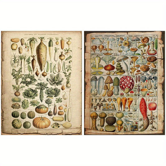 10pcs Large Plant Pages Retro Journal Decoration Tools