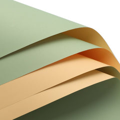 20 Sheets Double Paper Thick Waterproof Flower Wrapping Paper