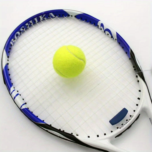 2PCS Durable Training Tennis Balls for Matches and Training